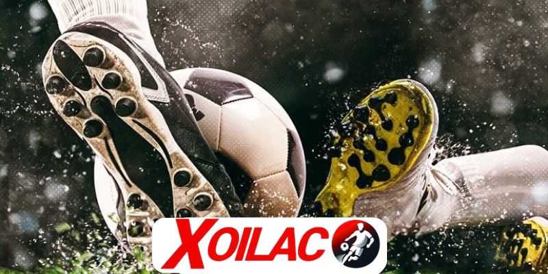 Định hướng XOILAC phát triển