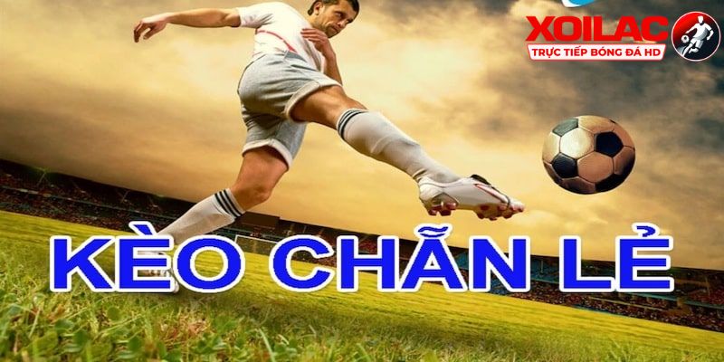 Mẹo nhỏ giúp bạn có thể cá cược hiệu quả khi chơi kèo chẵn lẻ là gì