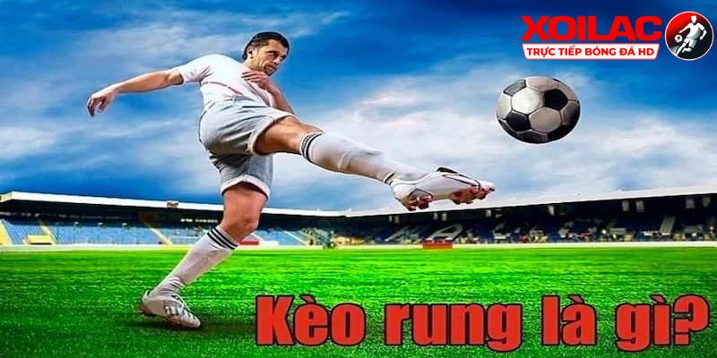 Nên cược rung 15 phút