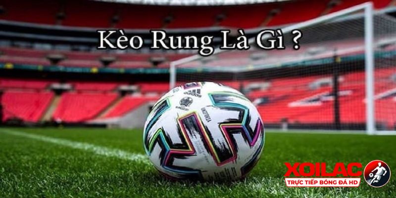 Đặc điểm nổi bật của kèo rung là gì