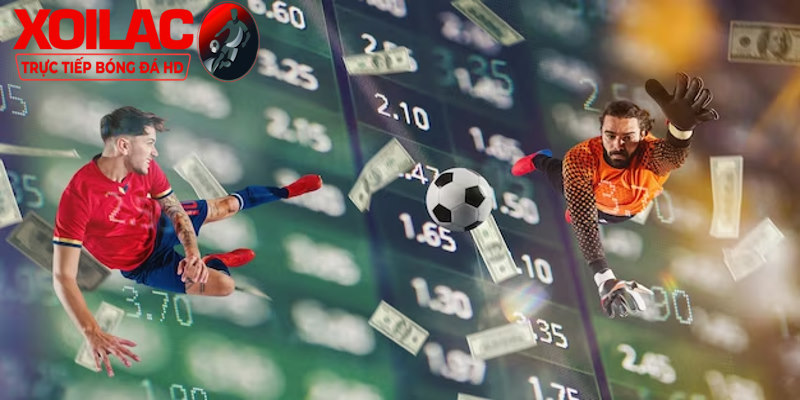 Những tỷ lệ Odds biến động không ổn định là dấu hiệu của các cược bịp